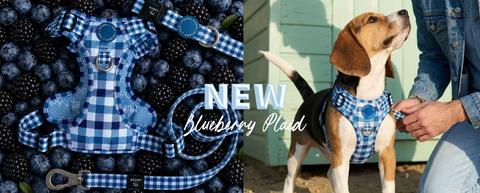 Blueberry Plaid