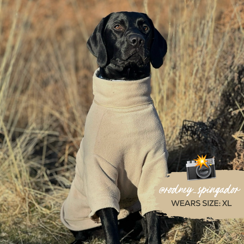 Cosy Dog Fleece Jumper - Zip Up / Step in Style | Ink Blue