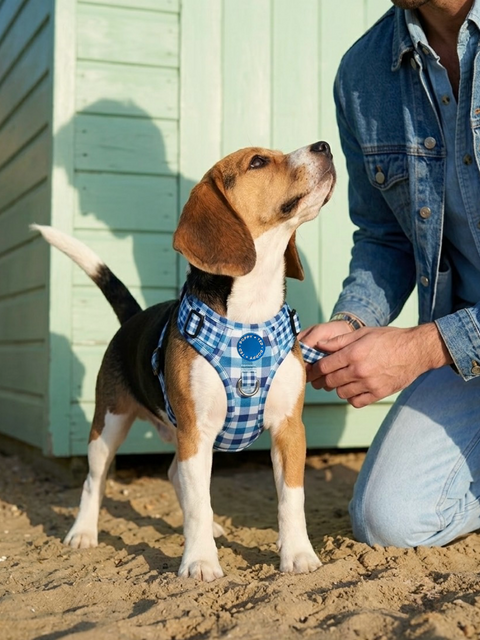 3-Click Tough Step-in Dog + Puppy Harness | Blueberry Plaid