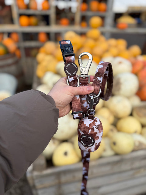Walk + Wear | Dog Collar | Cowprint - Howdy Cowdog / Yeehaw Cowgirl