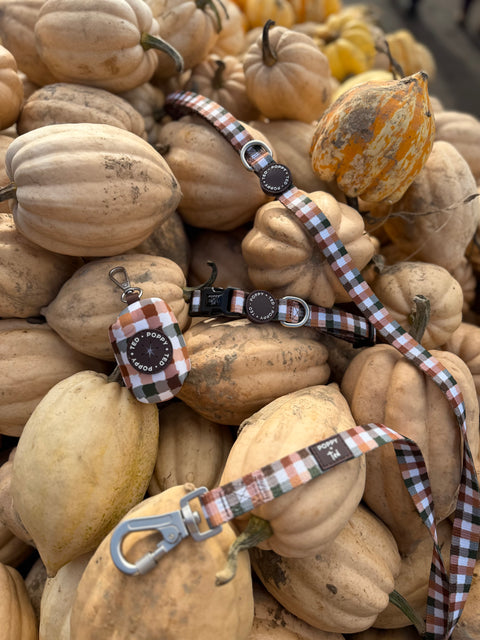 Walk + Wear | Dog Lead | Countryside Plaid