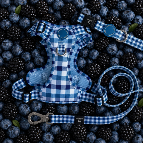 Walk + Wear | Dog Lead | Blueberry Plaid