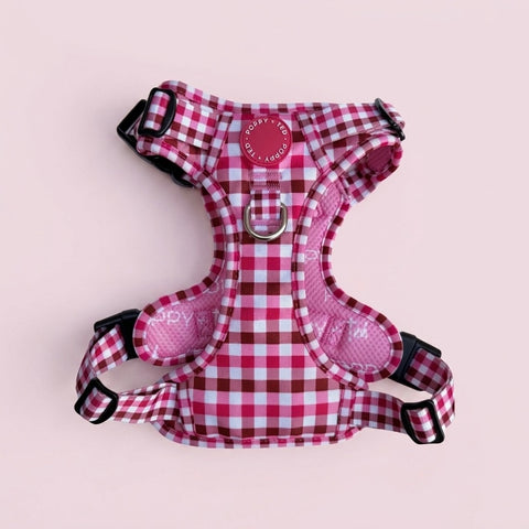 DOG & PUPPY HARNESSES