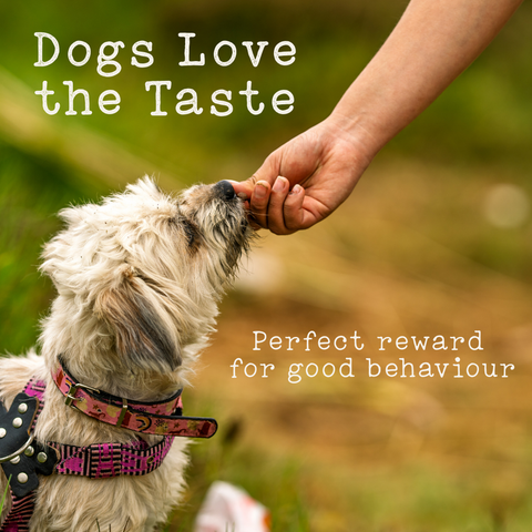 Vale Pet Foods | Beef Sausages | Air-Dried Natural Dog Treats (200g)
