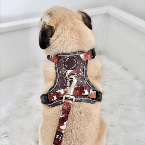 Pug wearing a poppy + ted cow patterned dog harness and leash on a white fluffy surface
