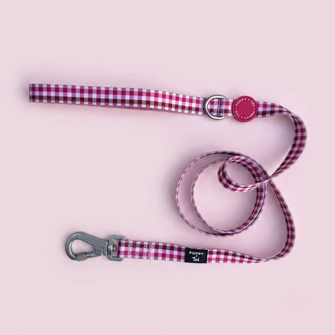 DOG & PUPPY LEADS