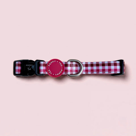 DOG & PUPPY COLLARS