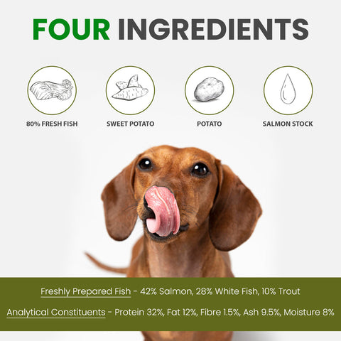 Vale Pet Foods | Ocean Bites | Air-Dried Natural Dog Treats (500g)