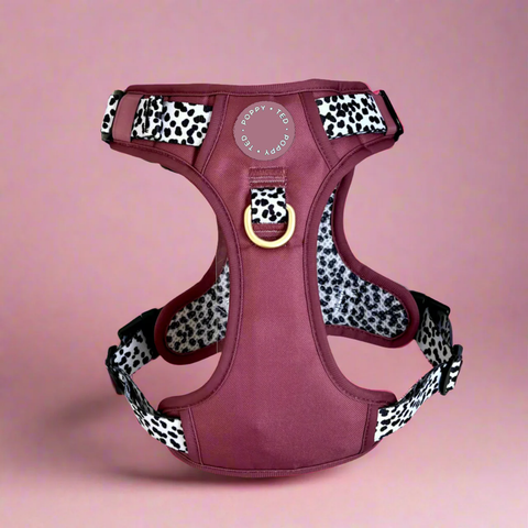 BERRY DALMATIAN - LUXE COLLECTION