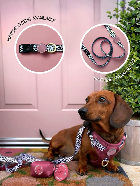 Luxe Collection | 3-Click Tough Harness | Berry Dalmatian