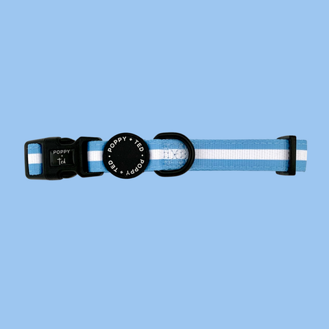 Essentials Collection | Dog Collar | Cornflower Blue
