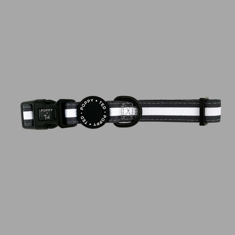 Essentials Collection | Dog Collar | Grey