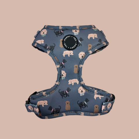 BREED COLLECTION: COCKAPOO/CAVAPOO/DOODLE ACCESSORIES