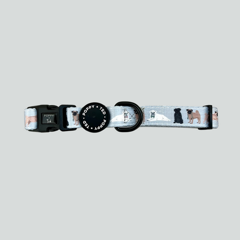 Pug Collar: Breed Collection