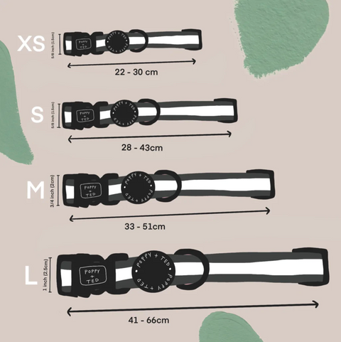 Ombré Essentials | Dog Collar | Jet Black
