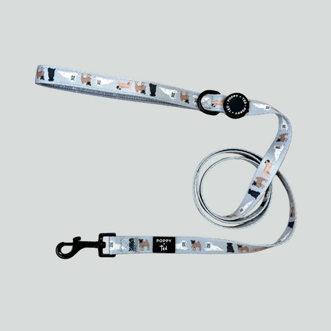 Pug Lead: Breed Collection