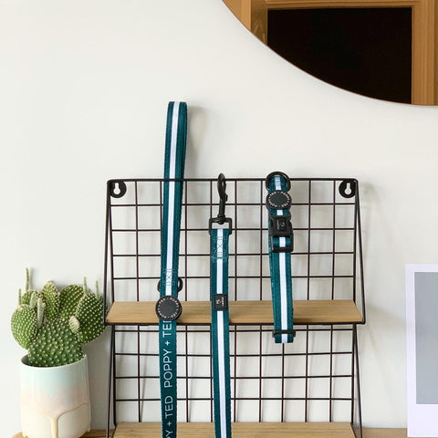 Essentials Collection | Dog Collar | Teal