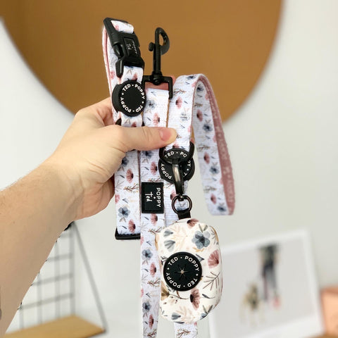 Walk + Wear | Dog Collar | Pressed Petal