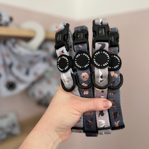 Pug Collar: Breed Collection