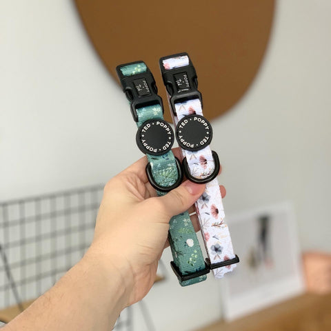 Walk + Wear | Dog Collar | Pressed Petal