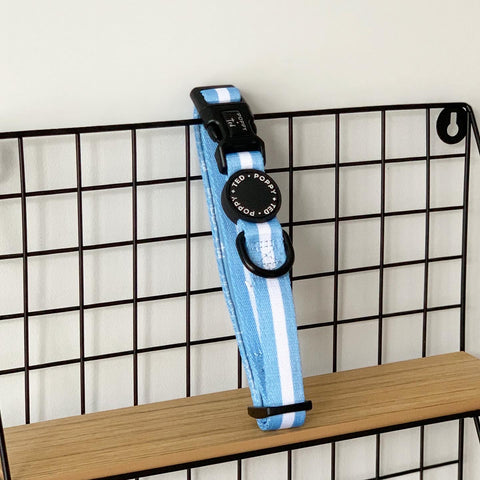 Essentials Collection | Dog Collar | Cornflower Blue