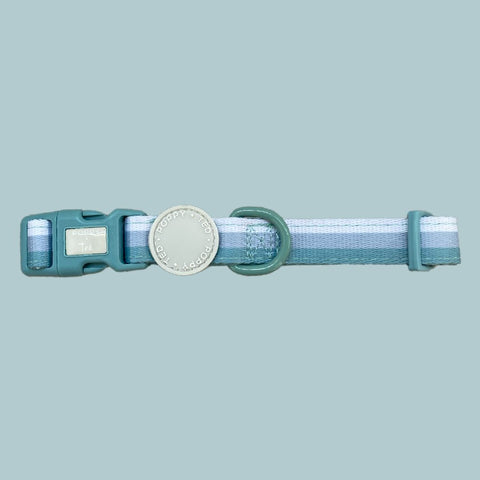 Ombré Essentials | Dog Collar | Mint Green