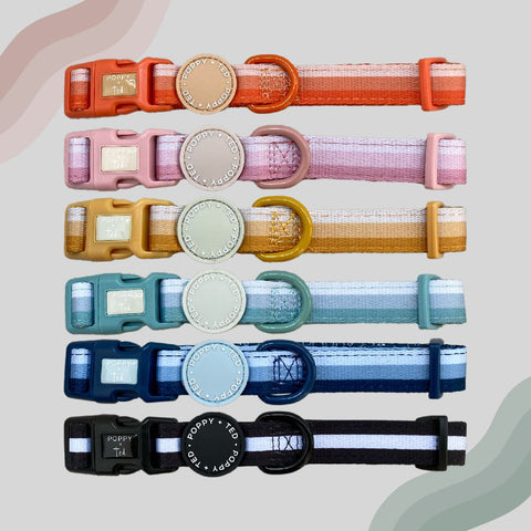 Ombré Essentials | Dog Collar | Jet Black